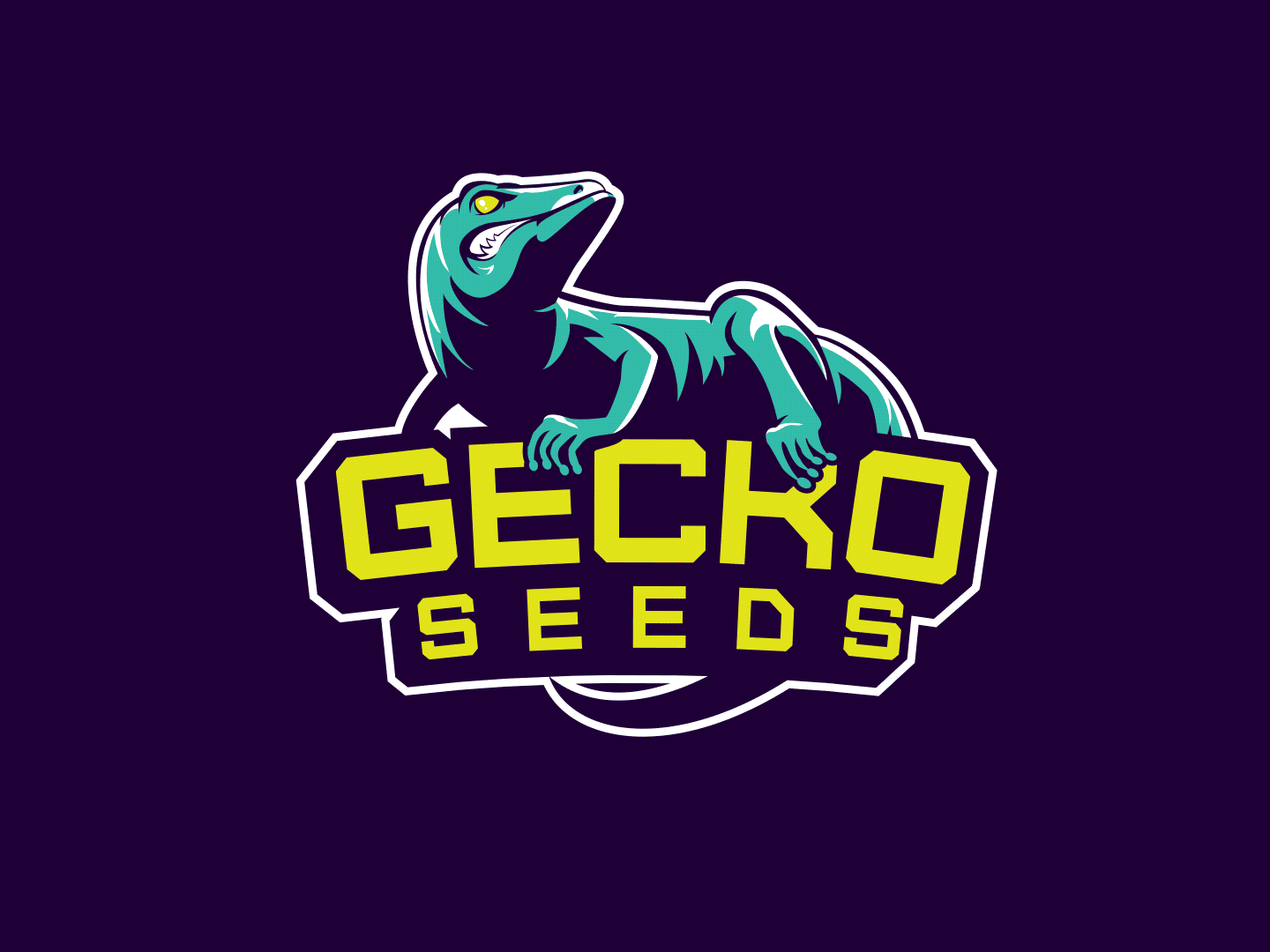 brand identity gecko seeds